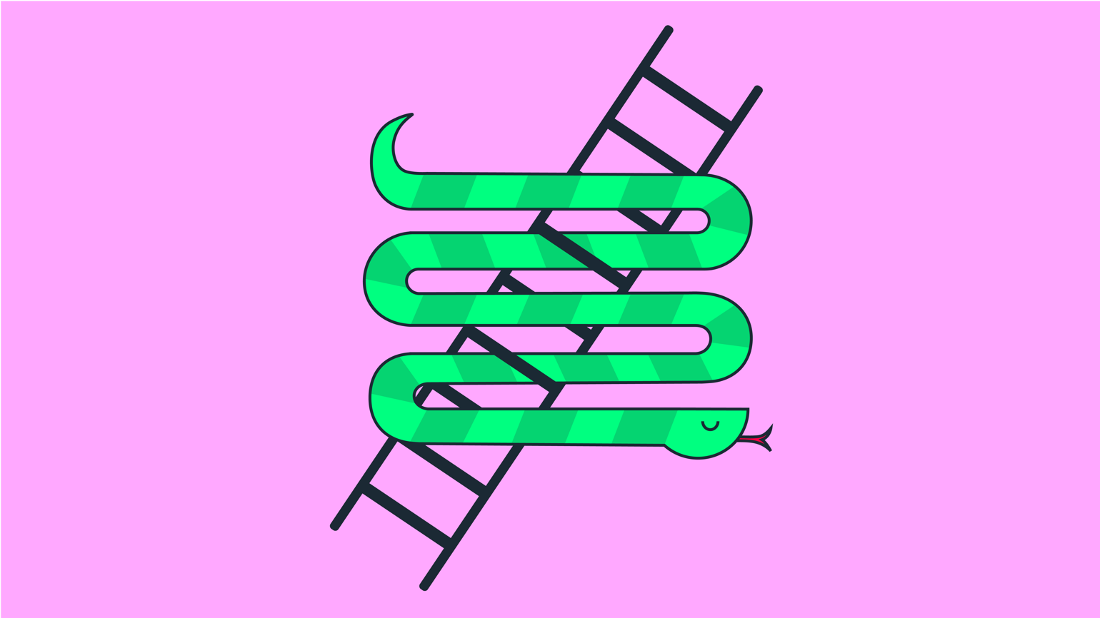Snakes Final 02