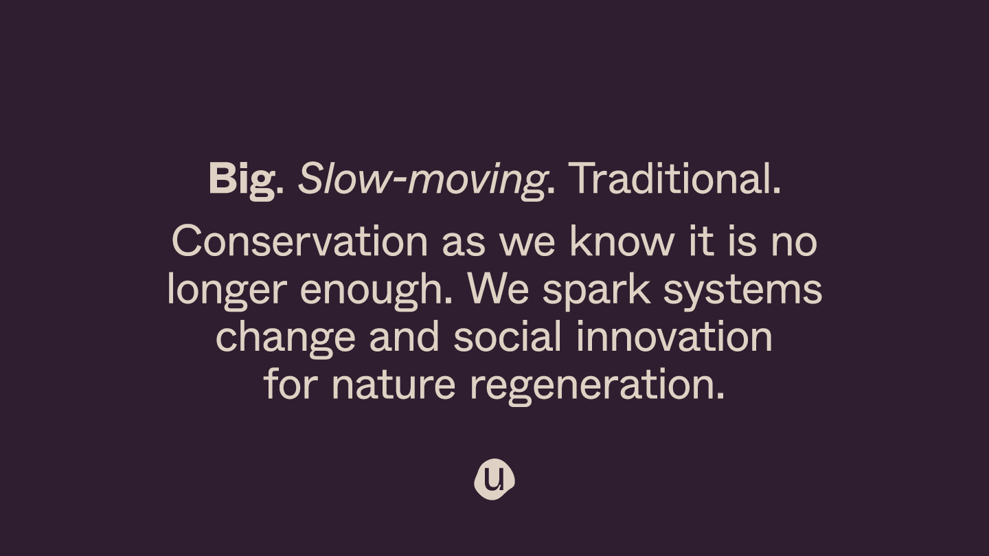 Beige text on a dark purple background reading 'Big [in bold type] . Slow moving [in italitc type]. Traditional. Conservation as we know it is no longer enough. We spark systems change and social innovation for nautre regeneration.' 'U' for Unearthodox logo sits at the bottom. 