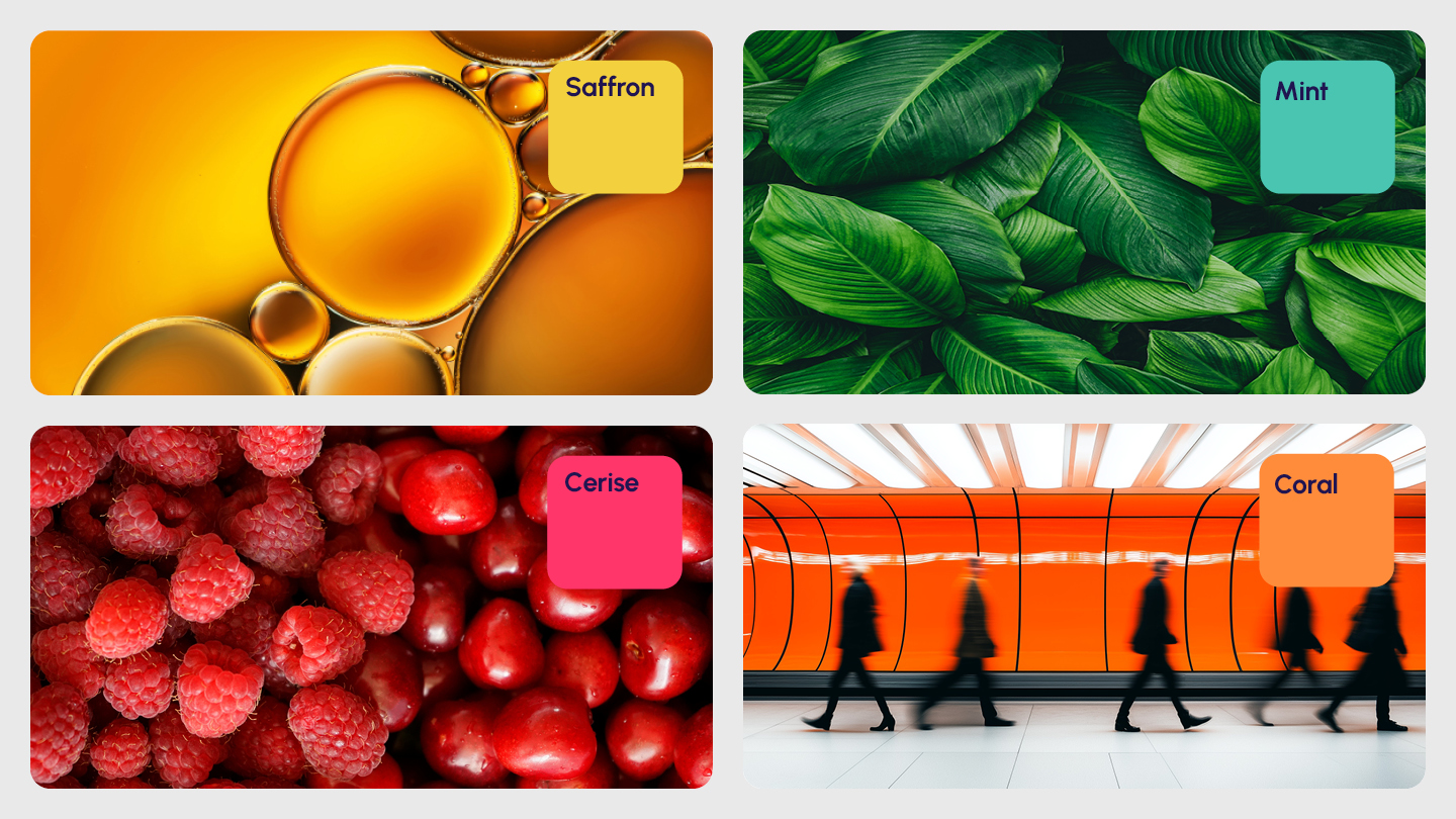 RY26 Website Images 16X9 CIL 02