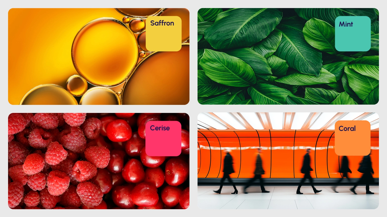 RY26 Website Images 16X9 CIL 02