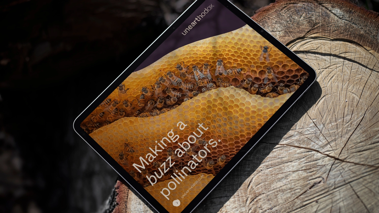 A tablet on top of a wood stump, on the screen there is an image of honeycomb and bees and text reading 'Making a buzz about pollinators'