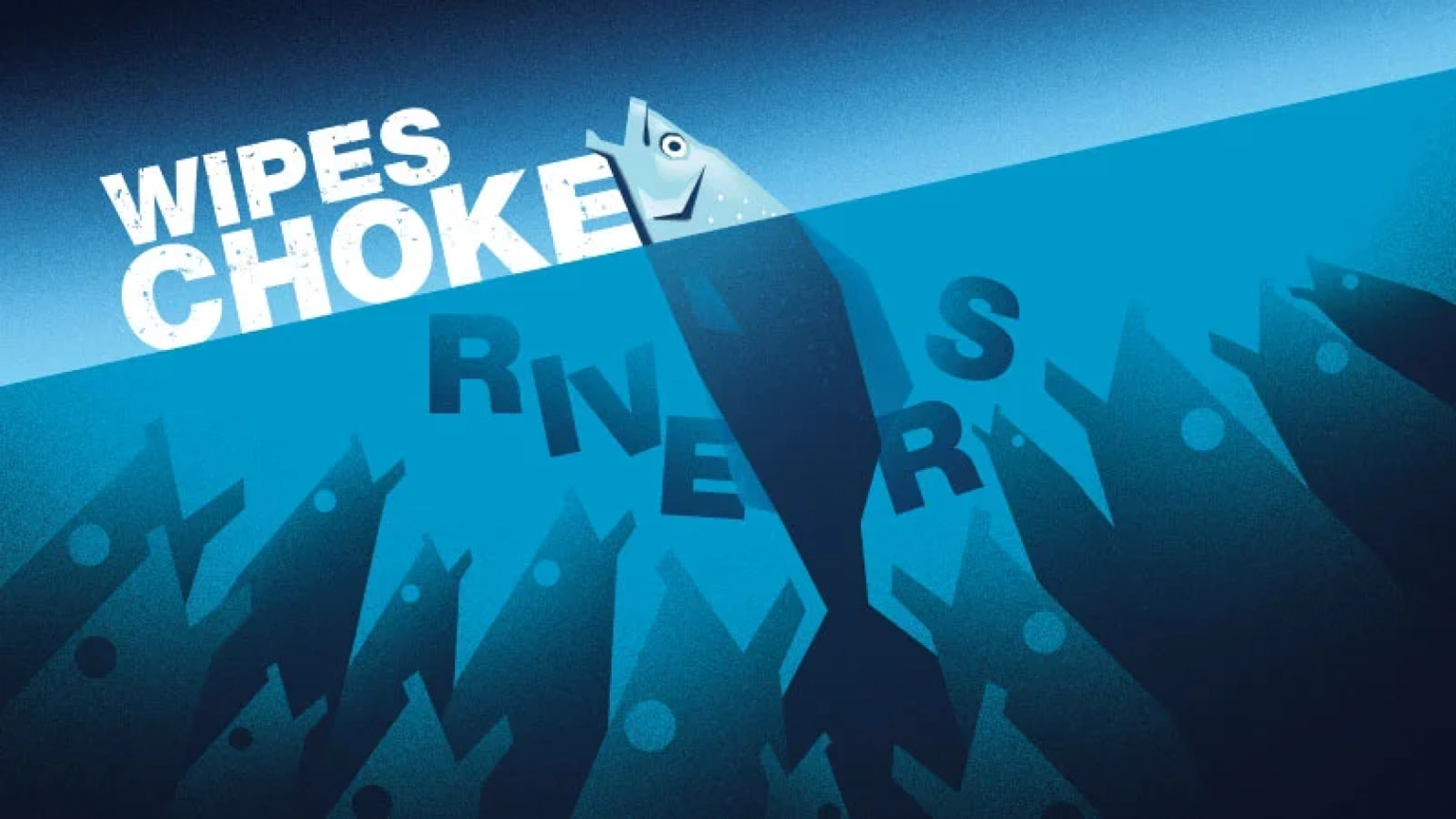 A poster with many fishes were choked because of wipes in the river