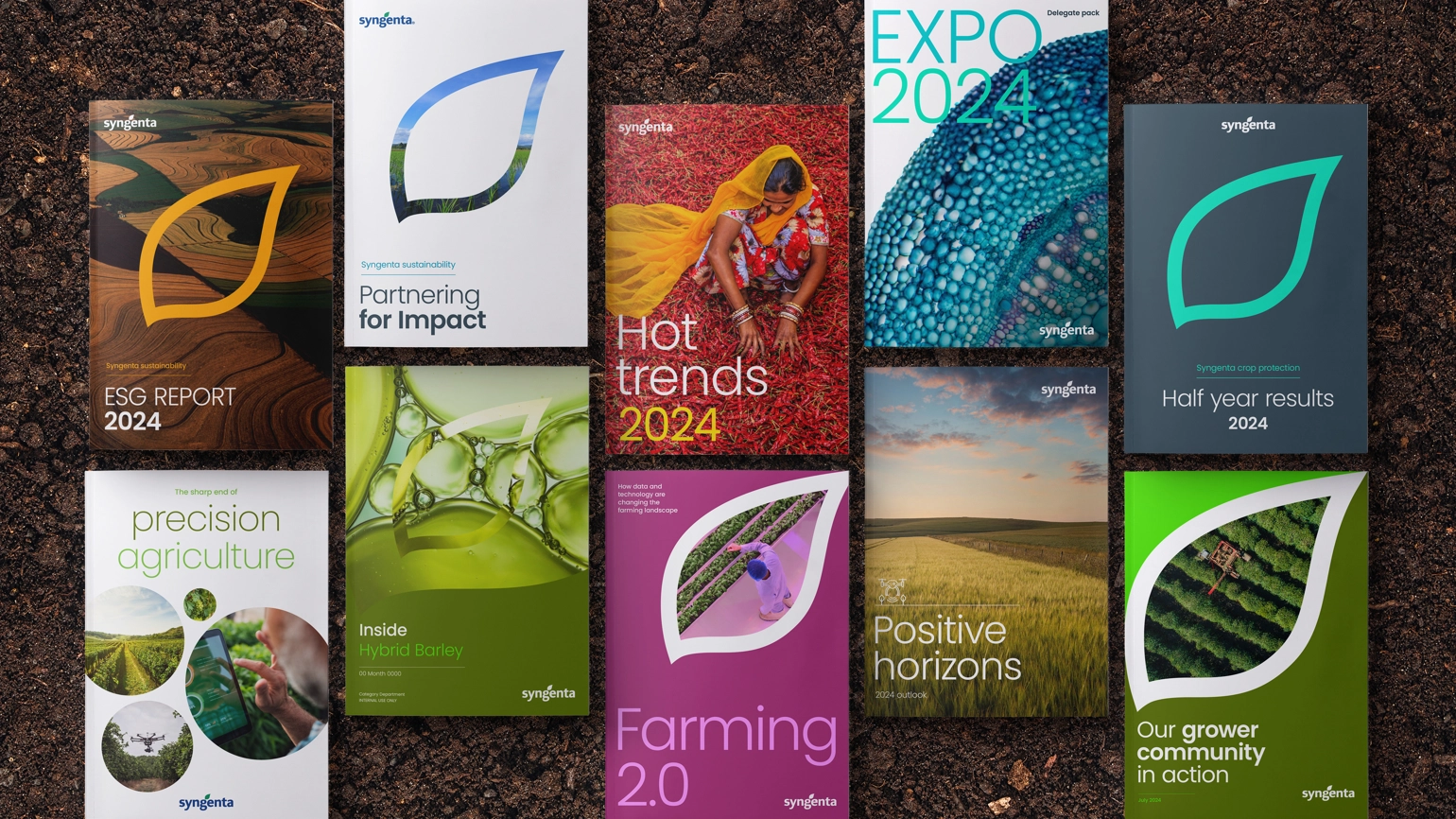 DN Syngenta Visual Identity New Content Structure 228