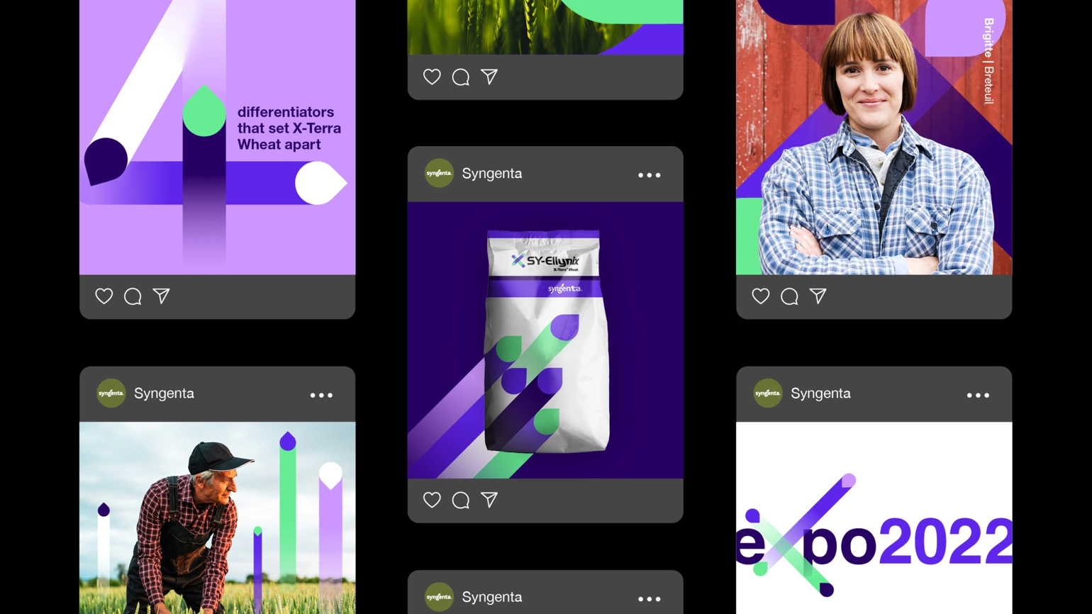 The design of Syngenta X-terra's social media presence followed by the brand guideline